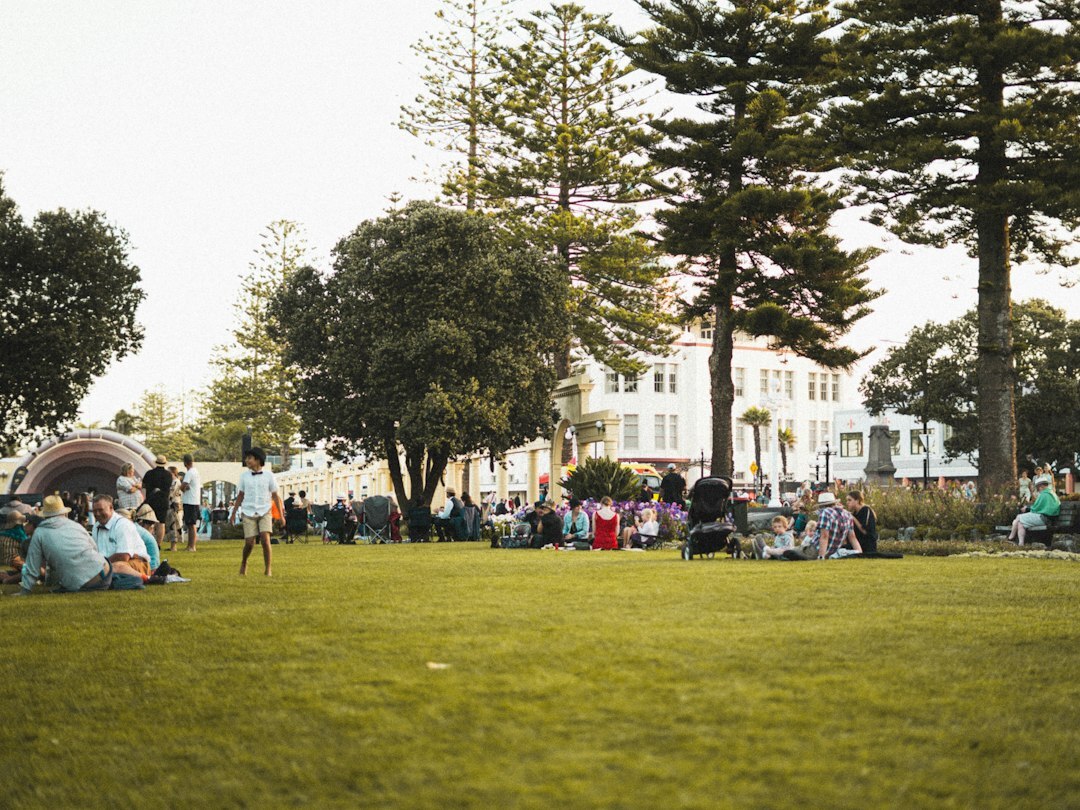 family picnic in park